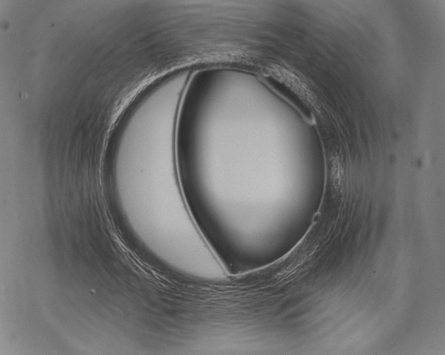 X0000068830676200605050919