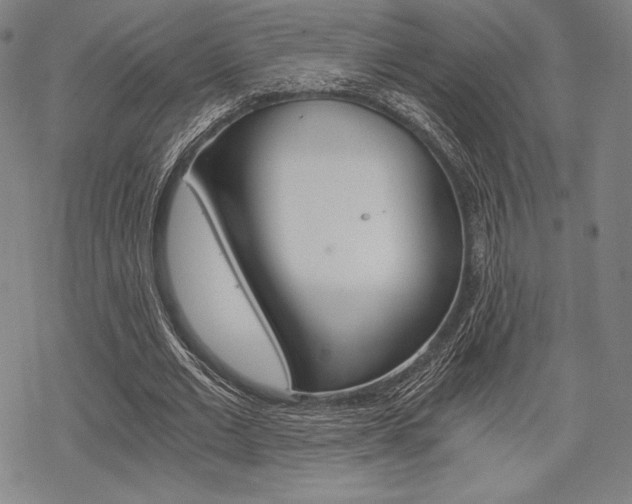 X0000068830677200605050919