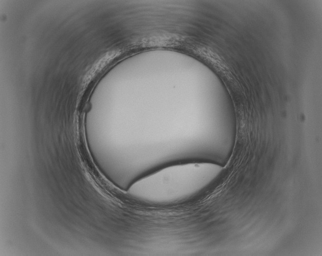 X0000068830678200605050919