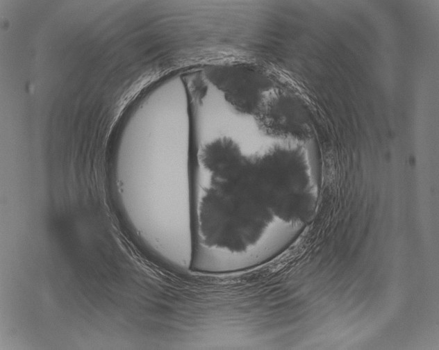 X0000068830679200605050919