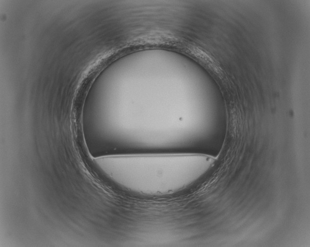 X0000068830680200605050919