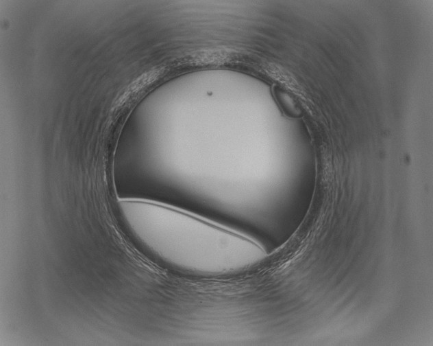 X0000068830681200605050919