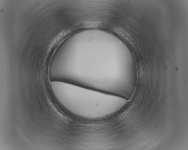 X0000068830682200605050919