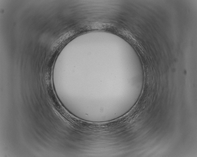 X0000068830683200605050919