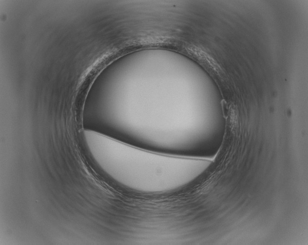 X0000068830684200605050919