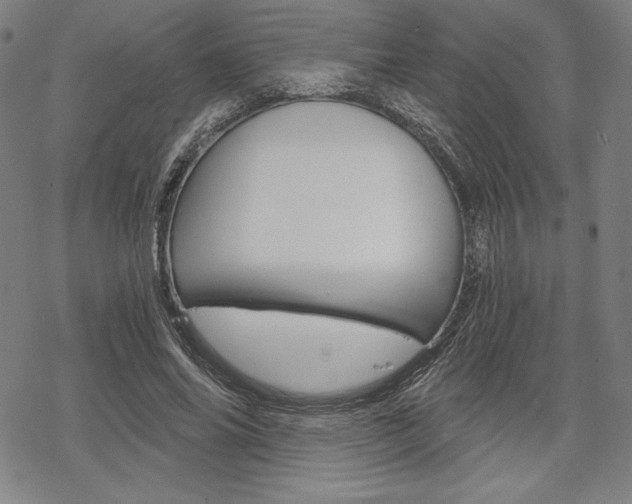 X0000068830686200605050919