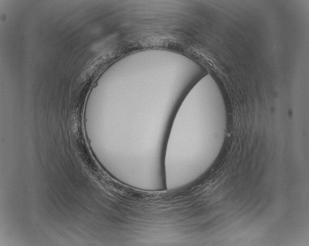 X0000068830687200605050919