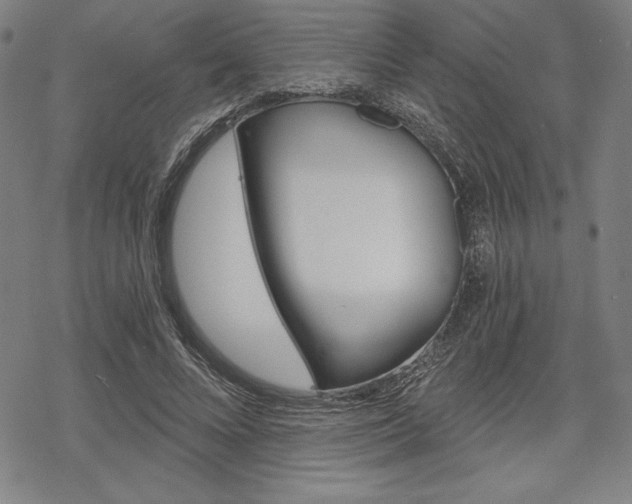 X0000068830688200605050919