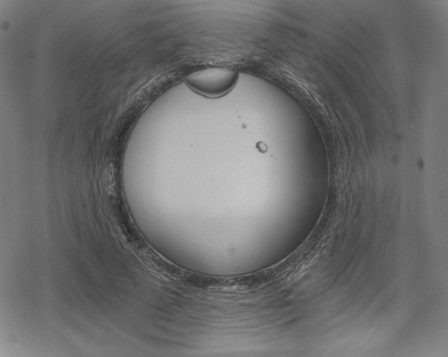 X0000068830689200605050919