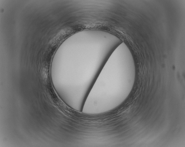 X0000068830691200605050918