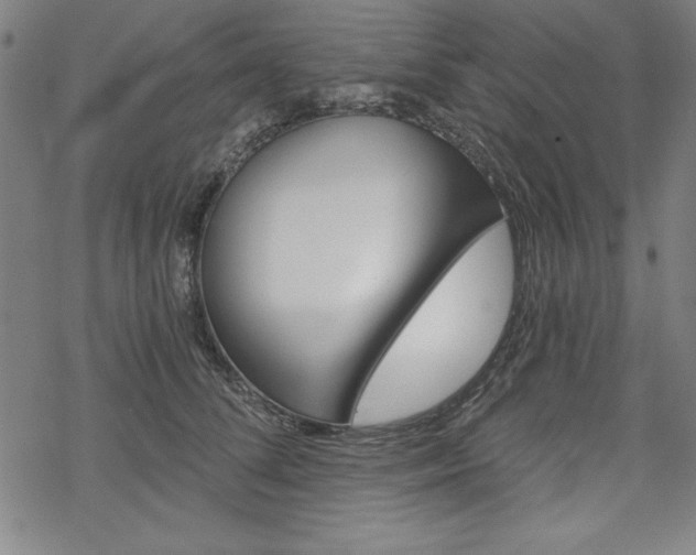 X0000068830708200605050918