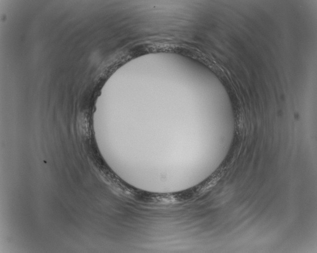 X0000068830715200605050918