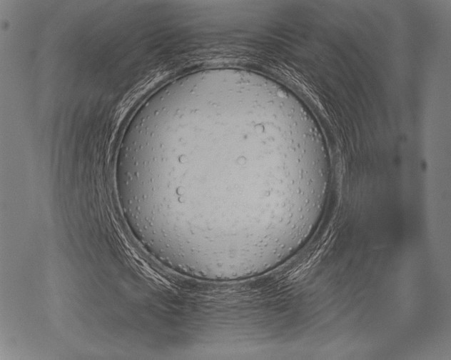 X0000068830721200605050917