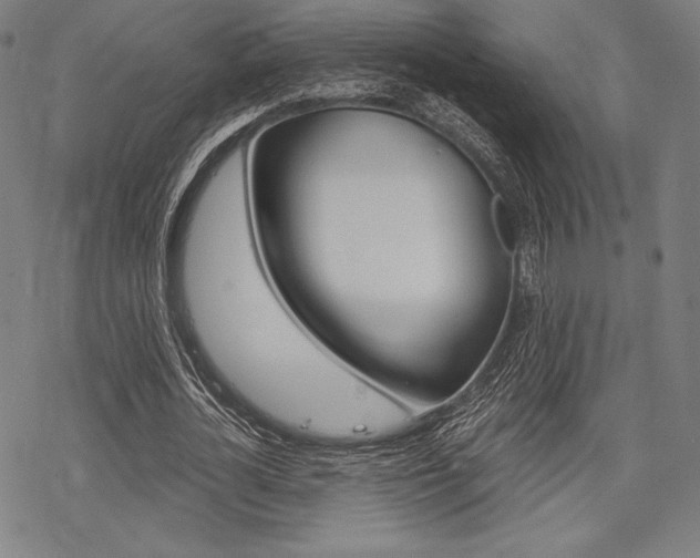 X0000068830724200605050917