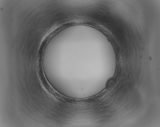 X0000068830730200605050917