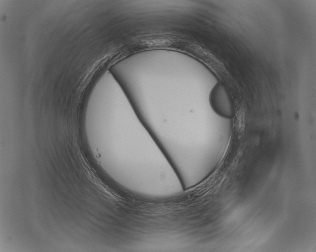 X0000068830733200605050917