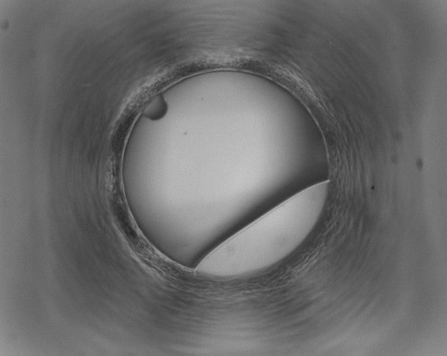 X0000068830736200605050917
