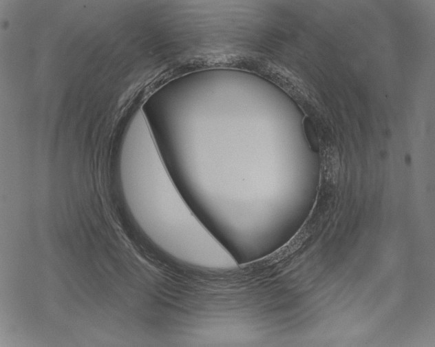 X0000068830740200605050917