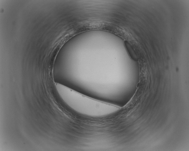 X0000068830744200605050917