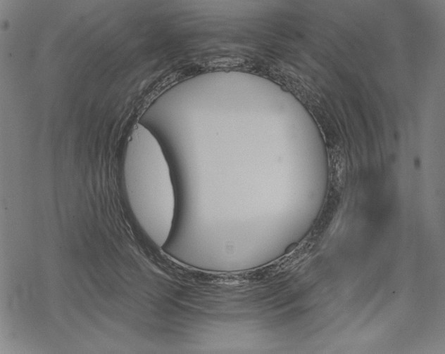 X0000068830745200605050918