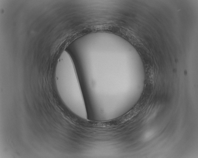 X0000068830746200605050918