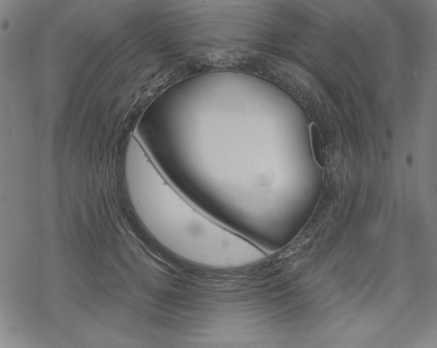 X0000068830752200605050918