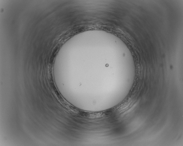 X0000068830757200605050918