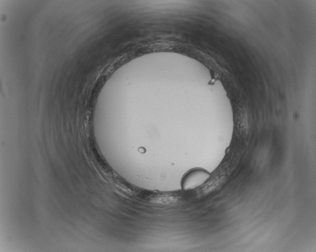 X0000068830759200605050918