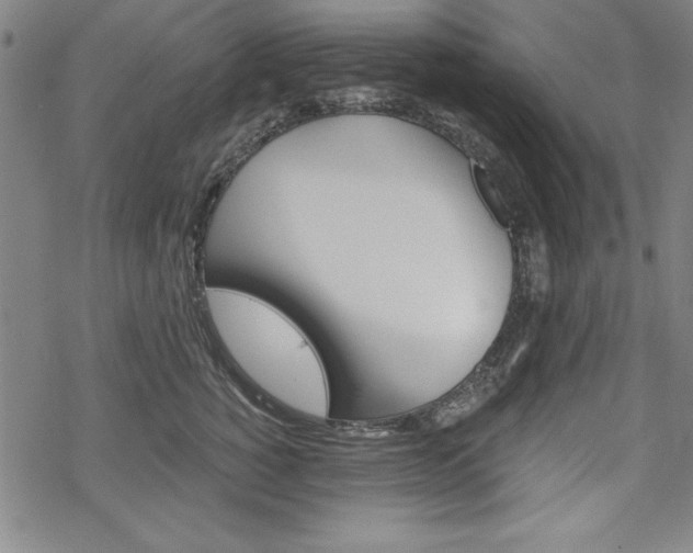 X0000068830760200605050918