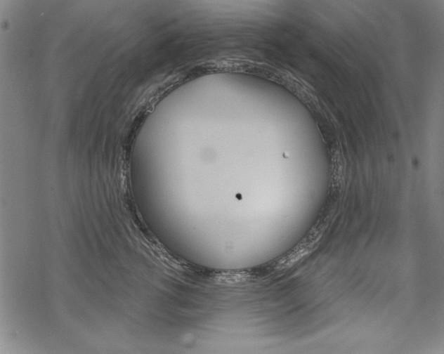 X0000068830762200605050918