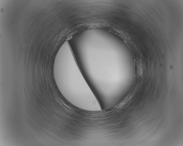 X0000068830766200605050918