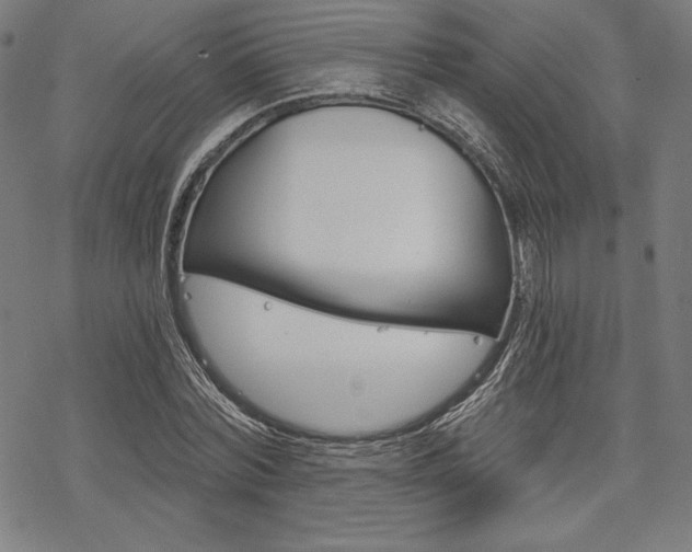 X0000068830780200605050917