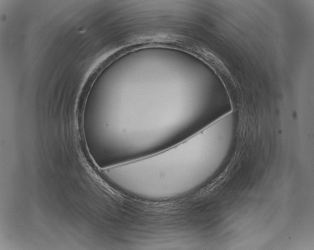 X0000068830784200605050917