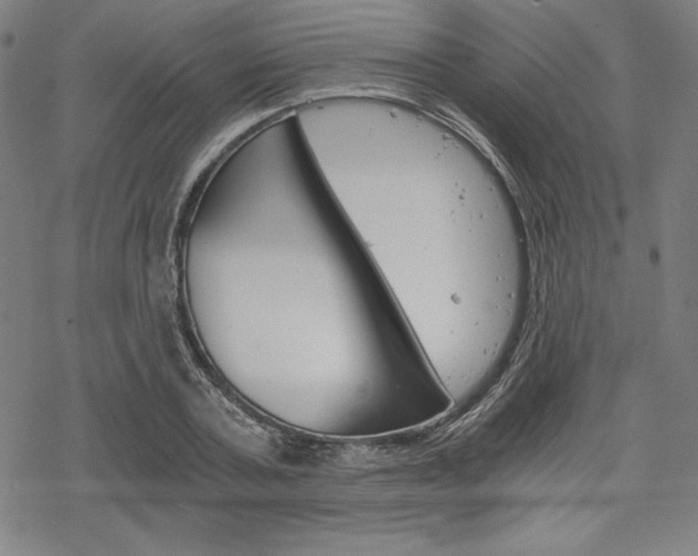 X0000068830787200605050917