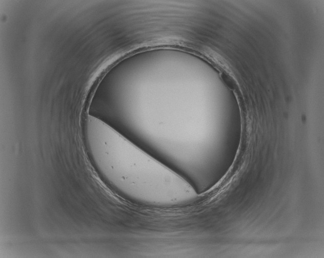 X0000068830789200605050917