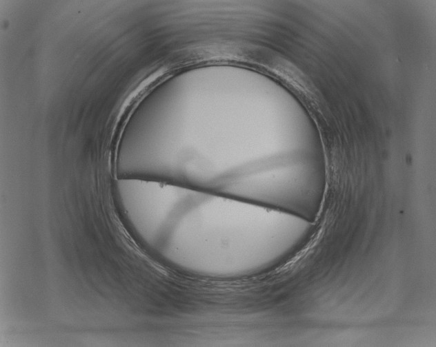 X0000068830790200605050917