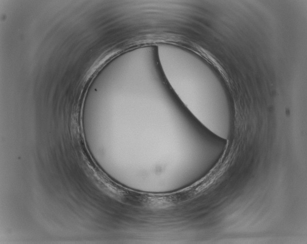 X0000068830794200605050917