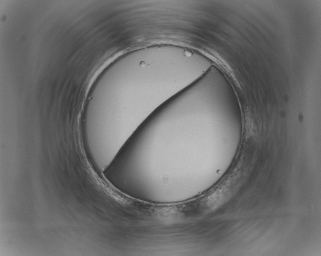 X0000068830798200605050917