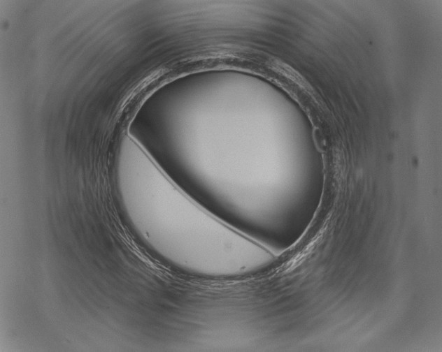 X0000068830826200605050916