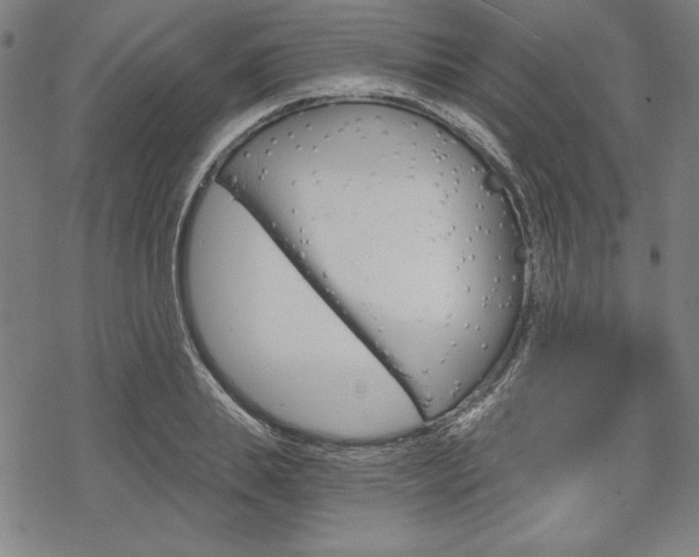 X0000068830839200605050916