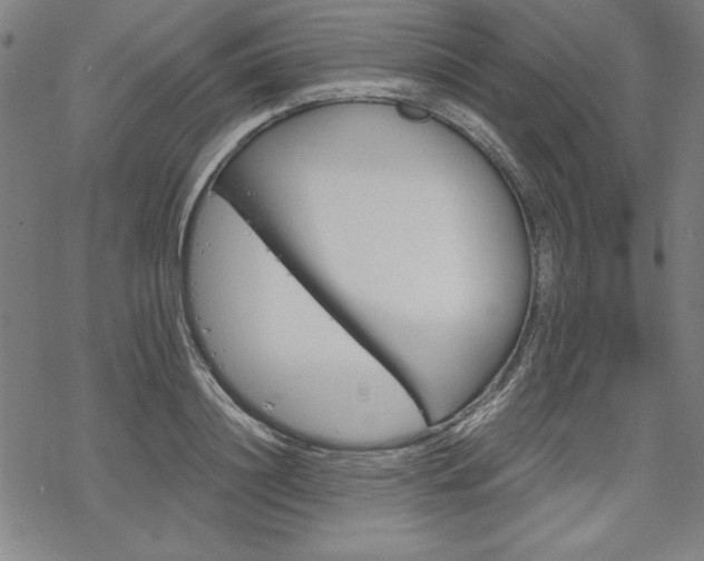 X0000068830844200605050916