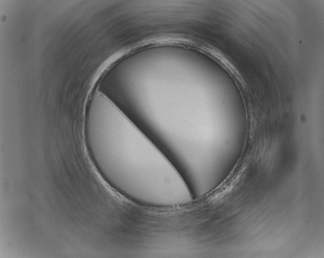 X0000068830853200605050916