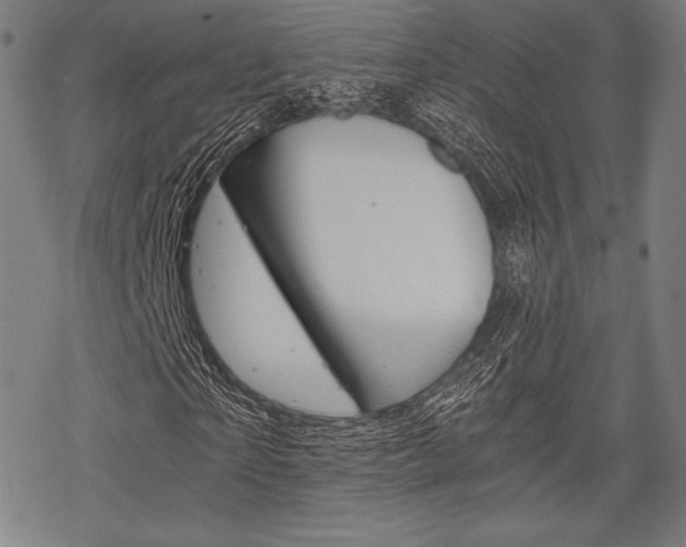 X0000068830865200605050915