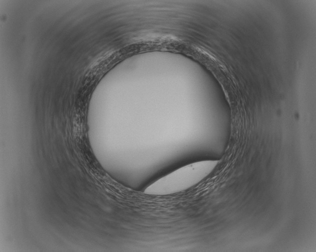 X0000068830869200605050915