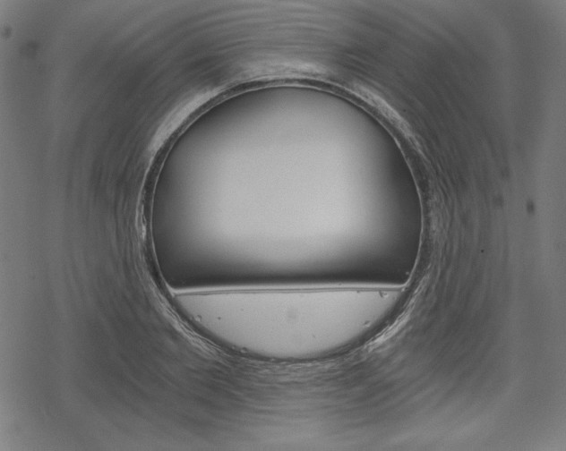 X0000068830885200605050915