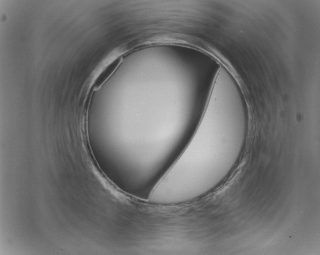 X0000068830909200605050915