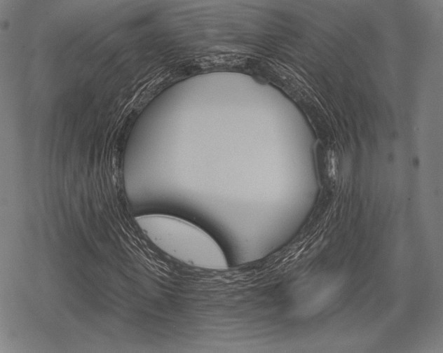 X0000068830915200605050914