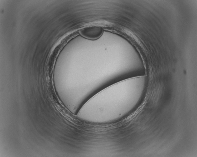 X0000068830923200605050914