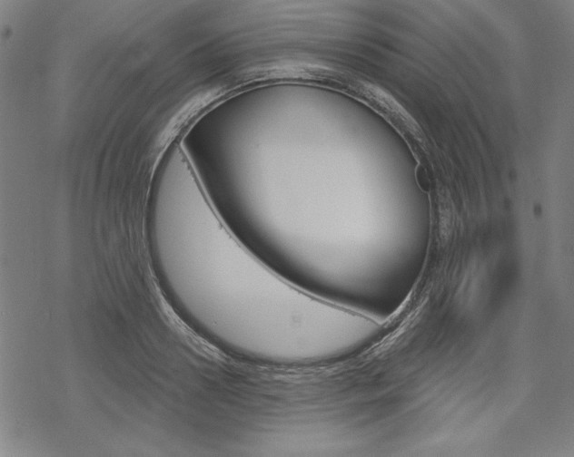 X0000068830938200605050914