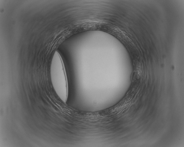 X0000068830964200605050914